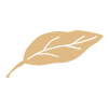 Abaita
