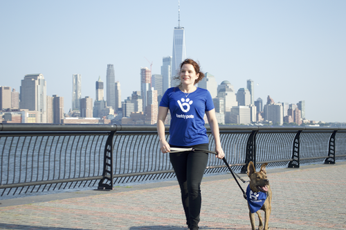 Barkly Pets NYC Dog Walkers