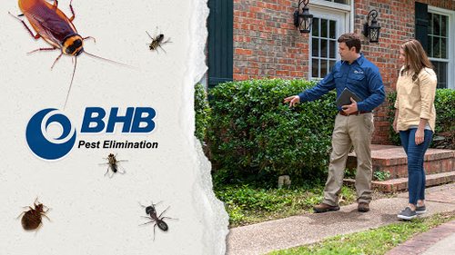 Bhb Pest Elimination