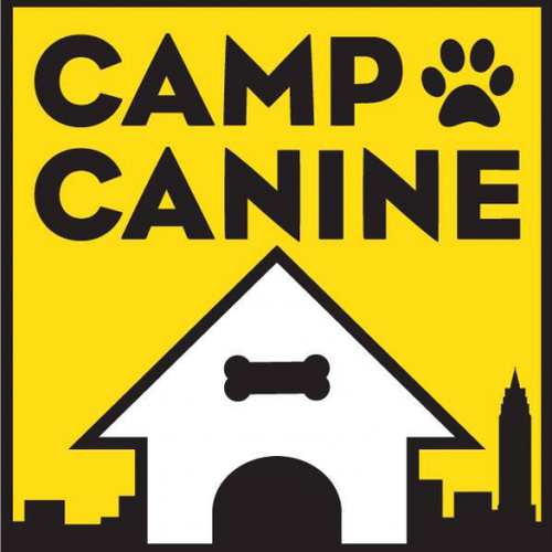 Camp Canine