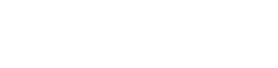 International Investigative Group