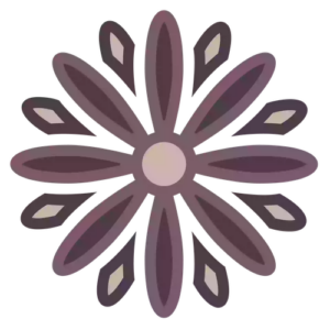 Renew Day Spa 2